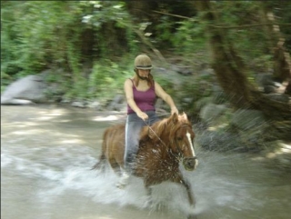  Caballo en el agua 